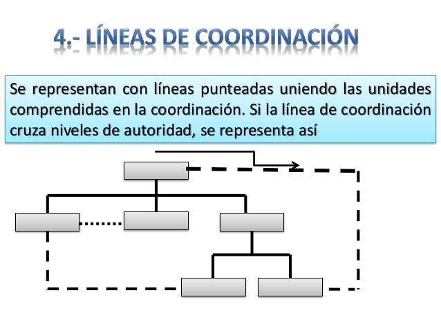 4 semana ORGANIGRAMA