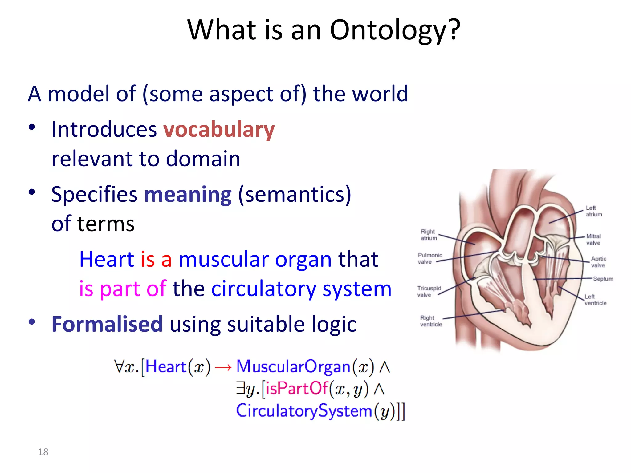 What is an Ontology?
A model of (some aspect of) the world
• Introduces vocabulary
relevant to domain
• Specifies meaning (semantics)
of terms
Heart is a muscular organ that
is part of the circulatory system
• Formalised using suitable logic
18
 