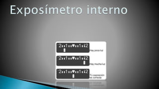 4 sencibilidad y exposición