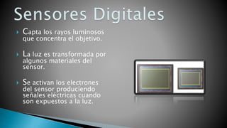  Capta los rayos luminosos
que concentra el objetivo.
 La luz es transformada por
algunos materiales del
sensor.
 Se activan los electrones
del sensor produciendo
señales eléctricas cuando
son expuestos a la luz.
 