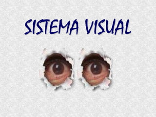 SISTEMA VISUAL 