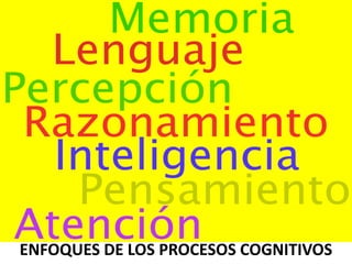 ENFOQUES DE LOS PROCESOS COGNITIVOS