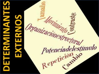 DETERMINANTES EXTERNOS