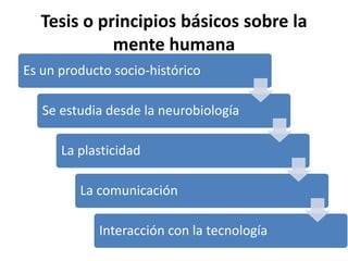Tesis o principios básicos sobre la mente humana