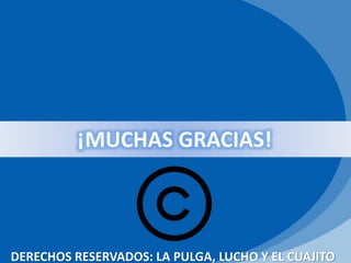 ¡MUCHAS GRACIAS!
DERECHOS RESERVADOS: LA PULGA, LUCHO Y EL CUAJITO
 