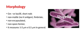 about Shigella along with laboratory diagnosis | PPTX