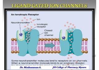 4 signal ligand gated ion channels.