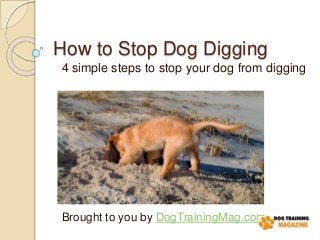 How to Stop Dog Digging
Brought to you by DogTrainingMag.com
4 simple steps to stop your dog from digging
 