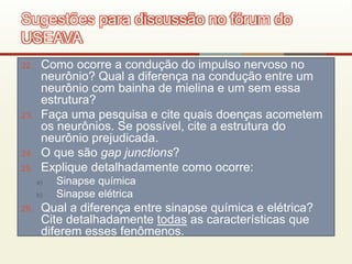 22. Como ocorre a condução do impulso nervoso no
neurônio? Qual a diferença na condução entre um
neurônio com bainha de mielina e um sem essa
estrutura?
23. Faça uma pesquisa e cite quais doenças acometem
os neurônios. Se possível, cite a estrutura do
neurônio prejudicada.
24. O que são gap junctions?
25. Explique detalhadamente como ocorre:
a) Sinapse química
b) Sinapse elétrica
26. Qual a diferença entre sinapse química e elétrica?
Cite detalhadamente todas as características que
diferem esses fenômenos.
Sugestões para discussão no fórum do
USEAVA
 