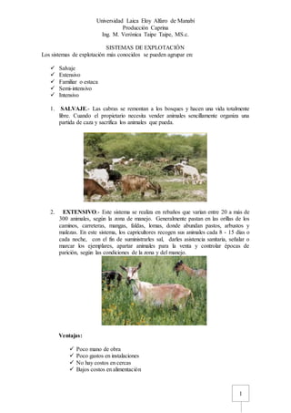 Universidad Laica Eloy Alfaro de Manabí
Producción Caprina
Ing. M. Verónica Taipe Taipe, MS.c.
1
SISTEMAS DE EXPLOTACIÓN
Los sistemas de explotación más conocidos se pueden agrupar en:
 Salvaje
 Extensivo
 Familiar o estaca
 Semi-intensivo
 Intensivo
1. SALVAJE.- Las cabras se remontan a los bosques y hacen una vida totalmente
libre. Cuando el propietario necesita vender animales sencillamente organiza una
partida de caza y sacrifica los animales que pueda.
2. EXTENSIVO.- Este sistema se realiza en rebaños que varían entre 20 a más de
300 animales, según la zona de manejo. Generalmente pastan en las orillas de los
caminos, carreteras, mangas, faldas, lomas, donde abundan pastos, arbustos y
malezas. En este sistema, los capricultores recogen sus animales cada 8 - 15 días o
cada noche, con el fin de suministrarles sal, darles asistencia sanitaria, señalar o
marcar los ejemplares, apartar animales para la venta y controlar épocas de
parición, según las condiciones de la zona y del manejo.
Ventajas:
 Poco mano de obra
 Poco gastos en instalaciones
 No hay costos en cercas
 Bajos costos en alimentación
 