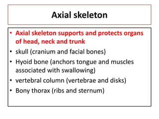 Axial skeleton
• Axial skeleton supports and protects organs
of head, neck and trunk
• skull (cranium and facial bones)
• Hyoid bone (anchors tongue and muscles
associated with swallowing)
• vertebral column (vertebrae and disks)
• Bony thorax (ribs and sternum)
 