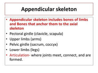 Appendicular skeleton
• Appendicular skeleton includes bones of limbs
and Bones that anchor them to the axial
skeleton
• Pectoral girdle (clavicle, scapula)
• Upper limbs (arms)
• Pelvic girdle (sacrum, coccyx)
• Lower limbs (legs)
• Articulation- where joints meet, connect, and are
formed.
 