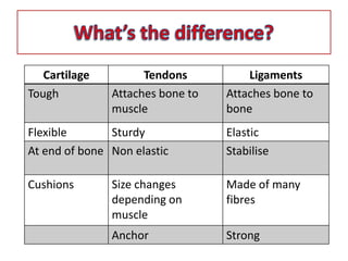 Cartilage Tendons Ligaments
Tough Attaches bone to
muscle
Attaches bone to
bone
Flexible Sturdy Elastic
At end of bone Non elastic Stabilise
Cushions Size changes
depending on
muscle
Made of many
fibres
Anchor Strong
 