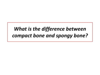 What is the difference between
compact bone and spongy bone?
 