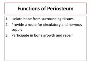Functions of Periosteum
1. Isolate bone from surrounding tissues
2. Provide a route for circulatory and nervous
supply
3. Participate in bone growth and repair
 