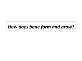 How does bone form and grow?
 