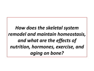 How does the skeletal system
remodel and maintain homeostasis,
and what are the effects of
nutrition, hormones, exercise, and
aging on bone?
 