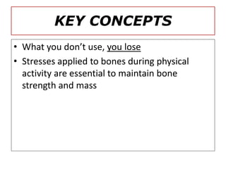 KEY CONCEPTS
• What you don’t use, you lose
• Stresses applied to bones during physical
activity are essential to maintain bone
strength and mass
 