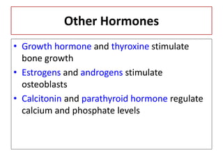 Other Hormones
• Growth hormone and thyroxine stimulate
bone growth
• Estrogens and androgens stimulate
osteoblasts
• Calcitonin and parathyroid hormone regulate
calcium and phosphate levels
 