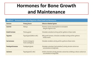 Hormones for Bone Growth
and Maintenance
 