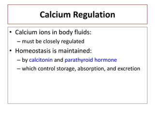 Calcium Regulation
• Calcium ions in body fluids:
– must be closely regulated
• Homeostasis is maintained:
– by calcitonin and parathyroid hormone
– which control storage, absorption, and excretion
 