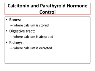 Calcitonin and Parathyroid Hormone
Control
• Bones:
– where calcium is stored
• Digestive tract:
– where calcium is absorbed
• Kidneys:
– where calcium is excreted
 