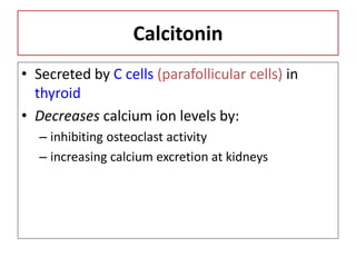 Calcitonin
• Secreted by C cells (parafollicular cells) in
thyroid
• Decreases calcium ion levels by:
– inhibiting osteoclast activity
– increasing calcium excretion at kidneys
 
