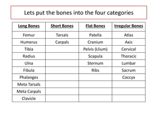 Lets put the bones into the four categories
Long Bones Short Bones Flat Bones Irregular Bones
Femur Tarsals Patella Atlas
Humerus Carpals Cranium Axis
Tibia Pelvis (Llium) Cervical
Radius Scapula Thoracic
Ulna Sternum Lumbar
Fibula Ribs Sacrum
Phalanges Coccyx
Meta Tarsals
Meta Carpals
Clavicle
 