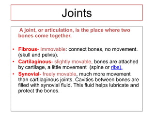 Joints
A joint, or articulation, is the place where two
bones come together.
• Fibrous- Immovable: connect bones, no movement.
(skull and pelvis).
• Cartilaginous- slightly movable, bones are attached
by cartilage, a little movement (spine or ribs).
• Synovial- freely movable, much more movement
than cartilaginous joints. Cavities between bones are
filled with synovial fluid. This fluid helps lubricate and
protect the bones.
 