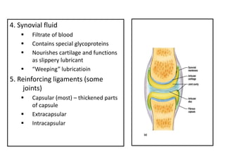 4. Synovial fluid
 Filtrate of blood
 Contains special glycoproteins
 Nourishes cartilage and functions
as slippery lubricant
 “Weeping” lubricatioin
5. Reinforcing ligaments (some
joints)
 Capsular (most) – thickened parts
of capsule
 Extracapsular
 Intracapsular
 