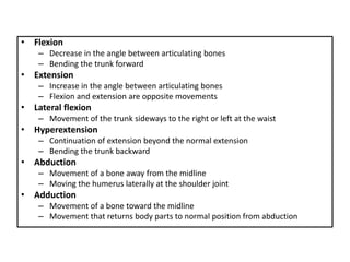 • Flexion
– Decrease in the angle between articulating bones
– Bending the trunk forward
• Extension
– Increase in the angle between articulating bones
– Flexion and extension are opposite movements
• Lateral flexion
– Movement of the trunk sideways to the right or left at the waist
• Hyperextension
– Continuation of extension beyond the normal extension
– Bending the trunk backward
• Abduction
– Movement of a bone away from the midline
– Moving the humerus laterally at the shoulder joint
• Adduction
– Movement of a bone toward the midline
– Movement that returns body parts to normal position from abduction
 