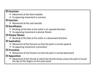  Inversion
 Movement of the foot medially
 Its opposing movement is eversion
 Eversion
 Movement of the sole laterally
 Dorsiflexion
 Bending of the foot at the ankle in an upward direction
 Its opposing movement is plantar flexion
 Plantar flexion
 Bending of the foot at the ankle in a downward direction
 Supination
 Movement of the forearm so that the palm is turned upward
 Its opposing movement is pronation
 Pronation
 Movement of the forearm so that the palm is turned downward
 Opposition
 Movement of the thumb in which the thumb moves across the palm to touch
the tips of the fingers on the same hand
 