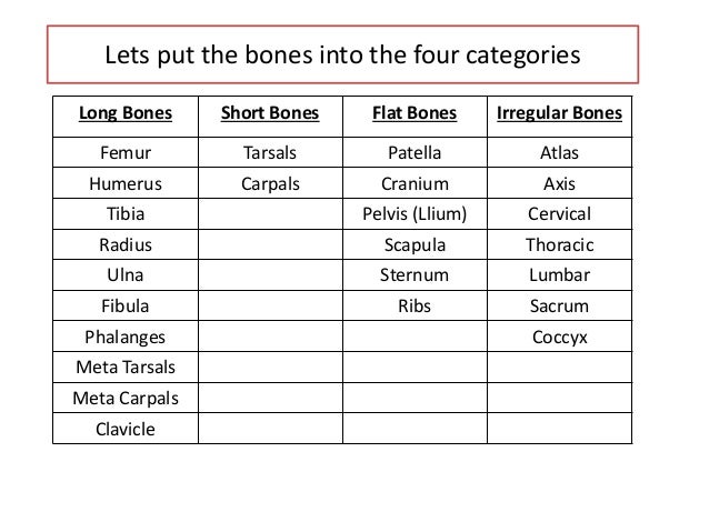 all flat bones all flat bones