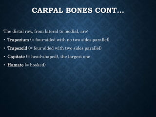 Parallel Medium Bone 4 Skeletal System (Unit-IV)-for Stds.ppt