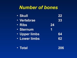 Comprehensive Overview of Human Osteology and Skeletal Anatomy | PPT