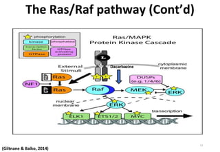 Ras And Raf Molecular signaling involved in breast cancer | PPTX