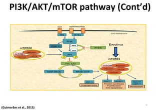 Molecular signaling involved in breast cancer | PPTX