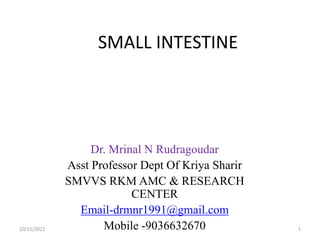 SMALL INTESTINE
Dr. Mrinal N Rudragoudar
Asst Professor Dept Of Kriya Sharir
SMVVS RKM AMC & RESEARCH
CENTER
Email-drmnr1991@gmail.com
Mobile -9036632670
10/11/2022 1
 