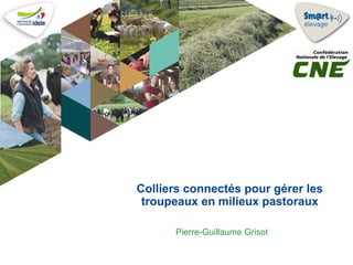 Colliers connectés pour gérer les
troupeaux en milieux pastoraux
Pierre-Guillaume Grisot
 