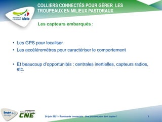 COLLIERS CONNECTÉS POUR GÉRER LES
TROUPEAUX EN MILIEUX PASTORAUX
• Les GPS pour localiser
• Les accéléromètres pour caract...