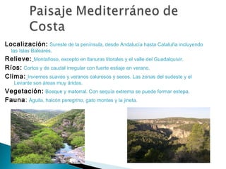 Localización: Sureste de la península, desde Andalucía hasta Cataluña incluyendo
las Islas Baleares.
Relieve: Montañoso, excepto en llanuras litorales y el valle del Guadalquivir.
Ríos: Cortos y de caudal irregular con fuerte estiaje en verano.
Clima: Inviernos suaves y veranos calurosos y secos. Las zonas del sudeste y el
Levante son áreas muy áridas.
Vegetación: Bosque y matorral. Con sequía extrema se puede formar estepa.
Fauna: Águila, halcón peregrino, gato montes y la jineta.
 