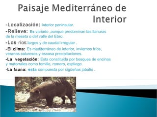 -Localización: Interior peninsular.
-Relieve: Es variado ,aunque predominan las llanuras
de la meseta o del valle del Ebro.
-Los ríos:largos y de caudal irregular .
-El clima: Es mediterráneo de interior, inviernos fríos,
veranos calurosos y escasa precipitaciones.
-La vegetación: Esta constituida por bosques de encinas
y matorrales como tomillo, romero, espliego.
-La fauna: esta compuesta por cigüeñas jabalís .
 