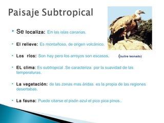  Se localiza: En las islas canarias.
 El relieve: Es montañoso, de origen volcánico.
 Los ríos: Son hay pero los arroyos son escasos. (buitre leonado)
 EL clima: Es subtropical .Se caracteriza por la suavidad de las
temperaturas.
 La vegetación: de las zonas mas áridas es la propia de las regiones
desertabas.
 La fauna: Puede citarse el pisón azul el pico pica pinos..
 
