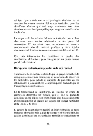 36
Al igual que sucede con otras patologías similares no se
conocen las causas exactas del cáncer testicular, pero los
científicos afirman que está muy relacionada con otras
afecciones como la criptorquidia y que los genes también están
implicados.
La mayoría de las células del cáncer testicular que se han
observado tienen copias adicionales de una parte del
cromosoma 12, en otros casos se observa un número
anormalmente alto de material genético y otros tejidos
muestran modificaciones en otros cromosomas diferentes al 12.
Con esta información los científicos no pueden dar
conclusiones definitivas, pero consiguieron un punto común
por el cual comenzar.
Disruptores endocrinos implicados en la enfermedad
Tampoco se tiene evidencia clara de que un grupo específico de
disruptores endocrinos promuevan el desarrollo de cáncer en
los testículos, pero debido al aumento de pacientes en los
últimos años a los científicos les quedan pocas dudas de que se
trata de factores ambientales.
En la Universidad de Edimburgo, en Escocia, un grupo de
científicos desarrolló un modelo con el que se pretende
demostrar que la exposición embrionaria a los ftalatos aumenta
exponencialmente el riesgo de desarrollar cáncer testicular
entre los 20 y 40 años.
El equipo de investigadores realizó un injerto de tejido de fetos
humanos abortados bajo la piel de ratones y en este modelo, las
células germinales en los testículos también se encuentran en
 