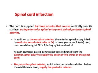 Cord Infarct Pattern 4 spinal cord ds.pptx