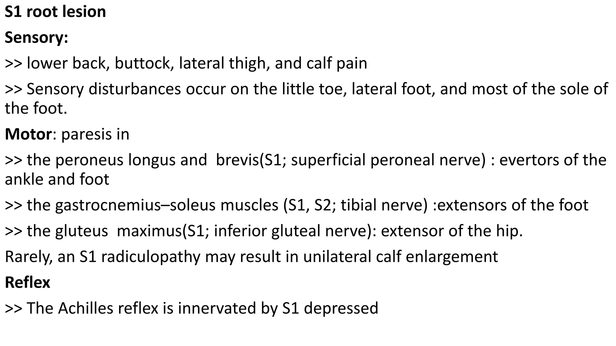 spinal nerves and roots | PPTX