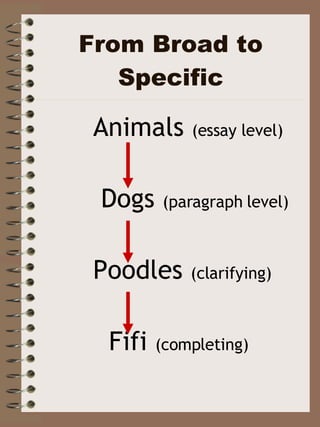 From Broad to Specific Animals  (essay level) Dogs  (paragraph level) Poodles  (clarifying) Fifi  (completing) 