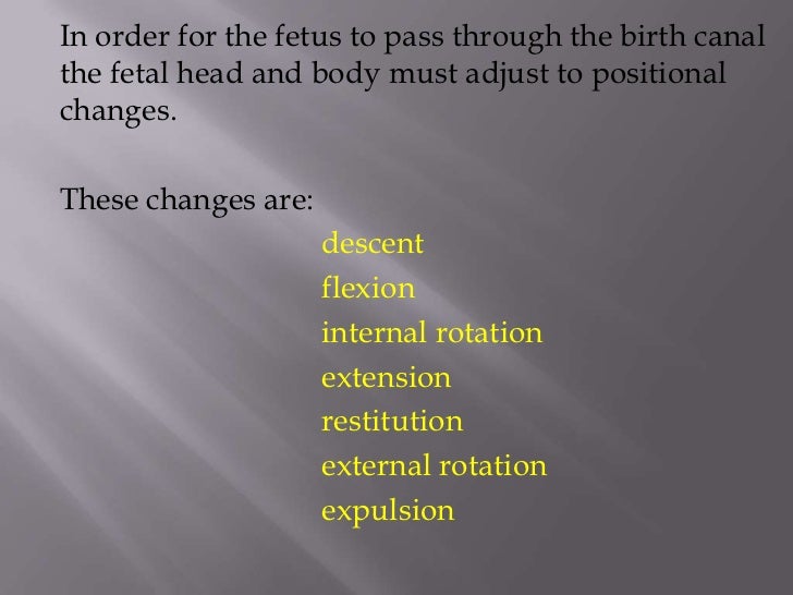 4 Stages Of Labor And Birth 4 Stages Of Labor And Birth