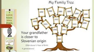 Your grandfather
is closer to
Slovenian origin
DNA donor‘s Year of Birth
4 generations!
1965
1940 1940
1915
1915
1915
1915...