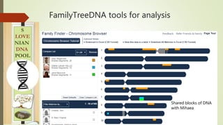 FamilyTreeDNA tools for analysis
Shared blocks of DNA
with Mihaea
 